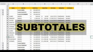 COMO HACER SUBTOTALES EN EXCEL [upl. by Damour776]