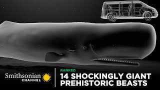 14 Shockingly Giant Prehistoric Beasts 🐋 Smithsonian Channel [upl. by Omocaig39]