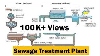 Sewage Treatment Plants  Primary amp Secondary Treatment  NEET Biology  Dr Ghanshyam Jangid [upl. by Aneehsyt101]