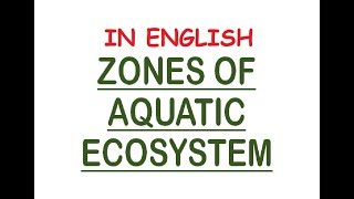 Aquatic Ecosystem Zones  PhoticAphotic Limnetic Pelagic Intertidal Neritic In Eng [upl. by Enila]