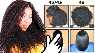 Natural Hair Types EXPLAINED In Detail w PICTURES 4C 4B amp 4A HAIR CHART [upl. by Hahn]