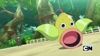 Pokemon Battle  Fletchinder vs Weepinbell [upl. by Dirraj]