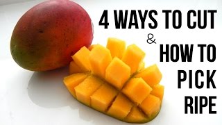 4 BEST WAYS TO CUT MANGO FAST [upl. by Carlile814]