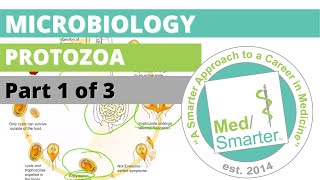 Protozoa  Microbiology  USMLE STEP 1  Part 1 of 3 [upl. by Vtarj296]