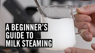 Everything You Need To Know To Steam Great Milk [upl. by Iram]