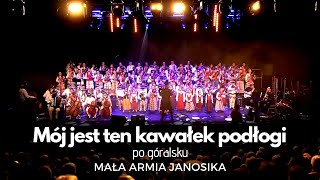 quotMój jest ten kawałek podłogiquot  MAŁA ARMIA JANOSIKA LIVE PO GÓRALSKUFOLKOWO [upl. by Esirtal250]