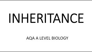 INHERITANCE  AQA A LEVEL BIOLOGY  EXAM QUESTIONS RUN THROUGH [upl. by Niajneb775]