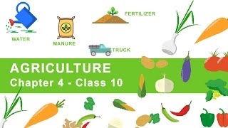 Agriculture  Chapter 4 Geography NCERT Class 10 [upl. by Annazus]