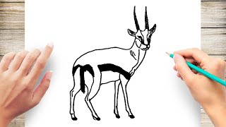 How to Draw Gazelle [upl. by Sillihp]