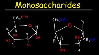 Monosaccharides  Glucose Fructose Galactose amp Ribose  Carbohydrates [upl. by Cristabel653]