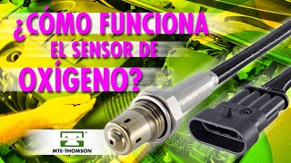 Cómo Funciona el Sensor Oxígeno [upl. by Paton]