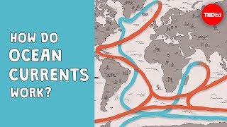 How do ocean currents work  Jennifer Verduin [upl. by Sayles]