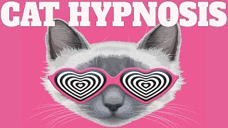 Sound To Calm Cats Within Minutes  Cat Hypnosis [upl. by Annabal]