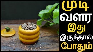 விழுந்த முடி மீண்டும் வளர 1 TSP ஆளி விதை AALI VITHAI இருந்தால் போதும்  Flaxseed For Hair Growth [upl. by Mikey]