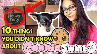 Cookie Swirl C 🍪 10Things You Didnt Know About The SHOPKINS Queen👑 [upl. by Palmira]