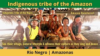 Brazil Travel  Indigenous tribe of the Amazon [upl. by Truc418]