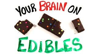 Your Brain On Edible Marijuana [upl. by Yrffej215]