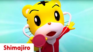 Doctor Shimajiro Is Here To Help 🩺 NEW 3D Episodes  Kids videos for kids  Shimajiro [upl. by Zere377]