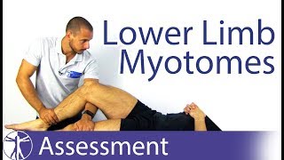 Myotomes Lower Limb  Peripheral Neurological Examination [upl. by Aridan]