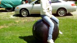 24 inch black hoppity hop ball [upl. by Rawde]