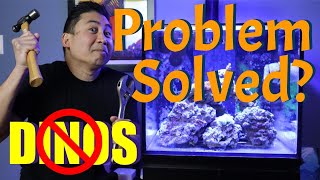 Reef Tank Dinoflagellate Problem  Dino Mistakes Solutions and Lessons Learned [upl. by Anytsirk881]