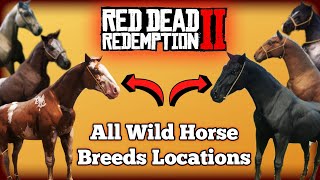 All Wild Horse Breed Locations in Red Dead Redemption 2 [upl. by Hirst]