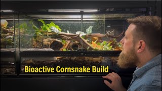 Building a Bioactive Cornsnake Vivarium [upl. by Elsworth]