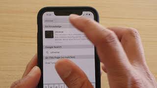 iPhone 11 Pro How to Enable  Disable Safari Search Engine Suggestions [upl. by Ennair941]