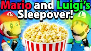 Crazy Mario Bros Mario and Luigis Sleepover [upl. by Viscardi]