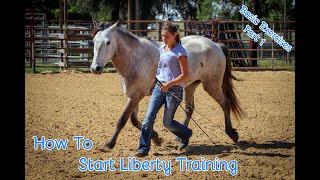 How To Start Liberty Training With Your Horse Basic Exercises Part 1 [upl. by Vidal]