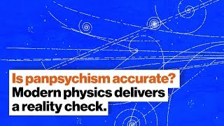 Is panpsychism accurate Modern physics delivers a reality check  Dr Susan Schneider  Big Think [upl. by Naitsabas]