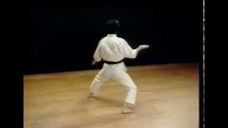 GojushihoDai  Shotokan SKIF  Hirokazu Kanazawa [upl. by Anon]