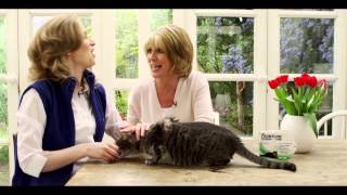 How to apply FRONTLINE® Spot On to cats [upl. by Mars]