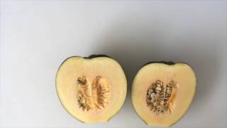 How to Peel amp Deseed Acorn Squash [upl. by Ancalin]