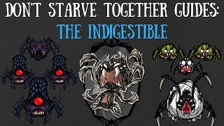 Dont Starve Together Character Guide Webber [upl. by Anerres637]