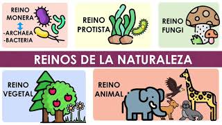 Los reinos de la naturaleza Características y ejemplos [upl. by Solberg]