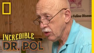 Yolk My Chicken  The Incredible Dr Pol [upl. by Scevo]