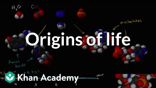 Origins of life  Biology  Khan Academy [upl. by Carew785]