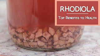 What is Rhodiola Top Health Benefits [upl. by Aleet104]