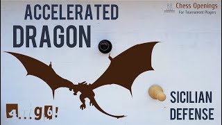 The Accelerated Dragon ⎸Sicilian Defense Theory [upl. by Noland]