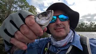 Noosa river fishing trip Nov2024 [upl. by Iaka]