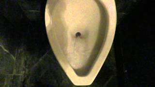 Bathroom Tour American Standard Urinal and Toilet Intercontinental Hotel Kansas City [upl. by Carl727]