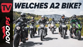 Welches A2 Motorrad soll ich kaufen  Kategorien im Überblick anhand der Kawasakipalette 2021 [upl. by Milli]