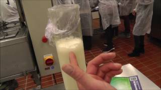 homogenization of milk [upl. by Anayek791]