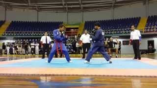 Campeonato Nacional JiuJitsu Tradicional 2013 Final [upl. by Maillil352]