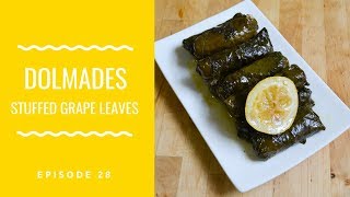 How to make Dolmades  Vegetarian Stuffed Grape Leaves Recipe [upl. by Ecirtap363]