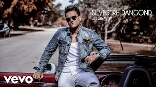 Silvestre Dangond  La Llamadita Audio [upl. by Rostand]