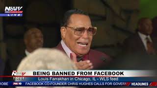 FACEBOOK BAN RALLY Louis Farrakhan in Chicago IL [upl. by Ocirrej]