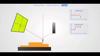 AFM Principle Basic Training [upl. by Atilemrac448]