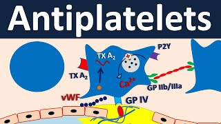 Swallowing and Communication after Stroke [upl. by Aneladdam]